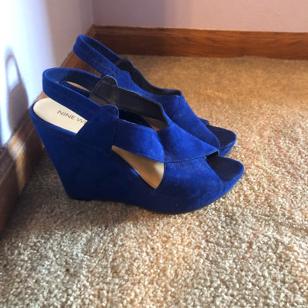 Blue Wedges